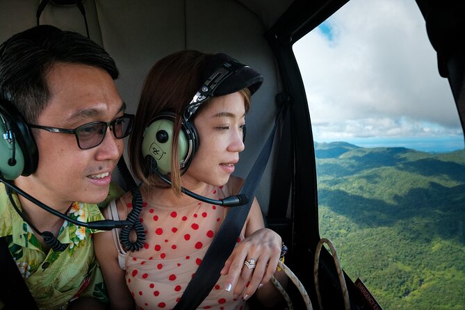 Fiji Private Helicopter Tour Sleeping Giant and Koroyanitu Heritage Park - My recommendation: book it if the view matters most