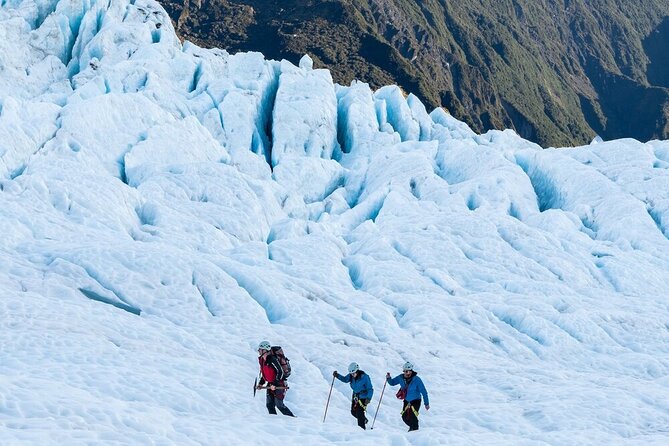 Franz Josef Small Group Bespoke Heli Hike Adventure with lunch - What this Franz Josef heli hike actually gives you