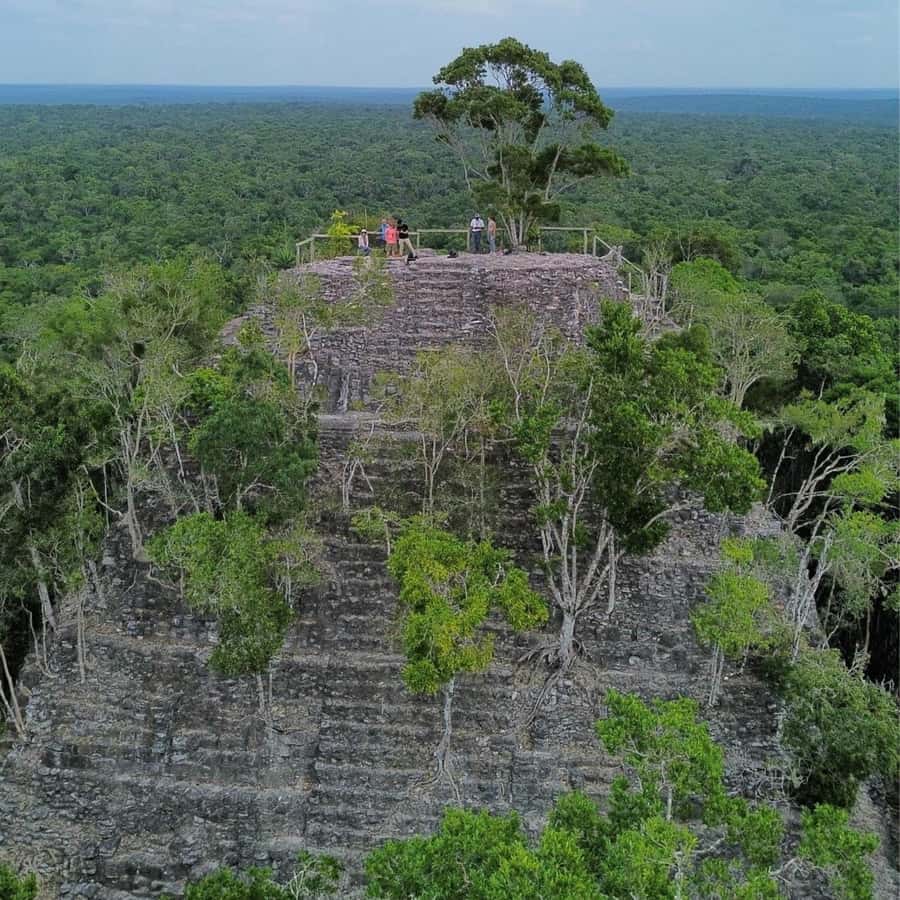 From Flores: La Danta & El Mirador Day Tour by Helicopter - Key points about the El Mirador helicopter tour