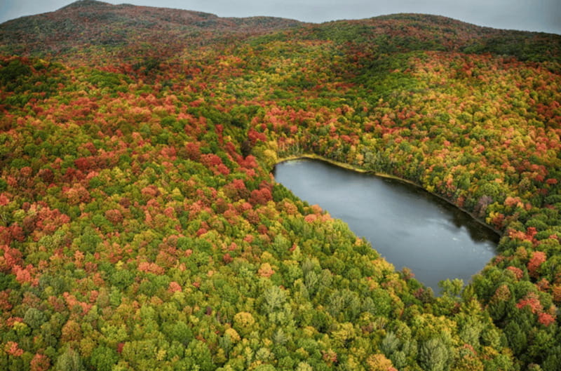 From Montreal: Scenic Montérégie Helicopter Tour - What the small group setup means