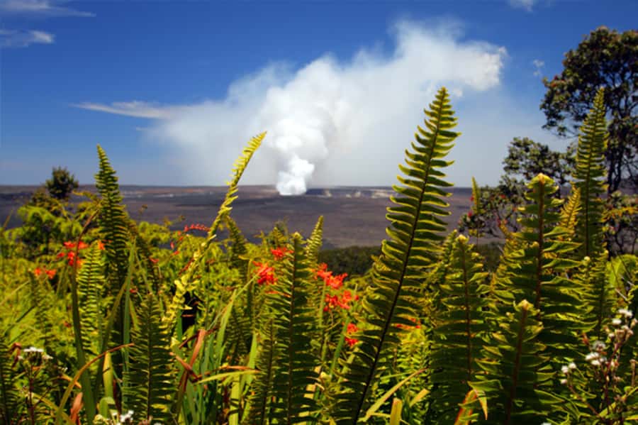 From Oahu: Big Island Volcano Adventure & Helicopter - Why this Oahu to Hilo trip makes sense