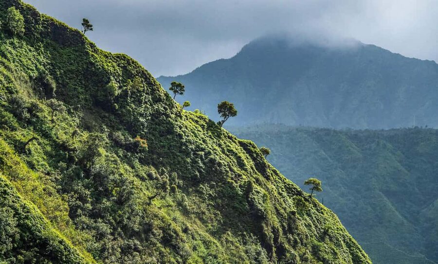From Princeville: Discover Kauai Helicopter Tour - Why See Kauai by Helicopter?