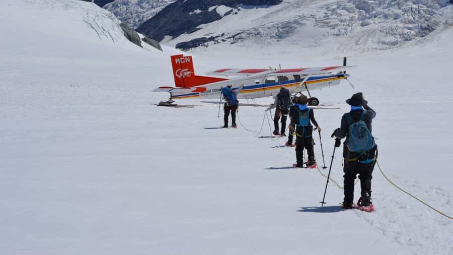 From Queenstown: Mount Cook Heli-Hike and Bus Tour Combo - Salmon, orchard fruit, and the trip home