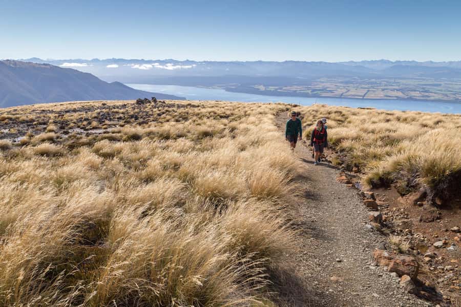 From Te Anau: Full Day Kepler Track Guided Heli-Hike - Why this Kepler Track day works so well