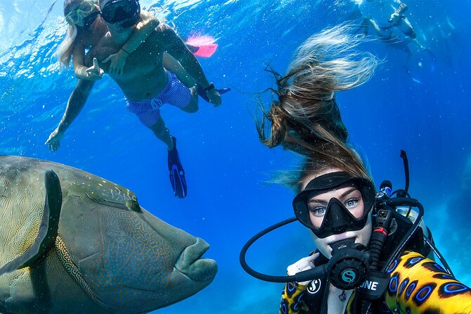 Full Day Reef Cruise and 10 Minute Helicopter Scenic Flight - The 90-minute ride to Saxon or Norman Reef
