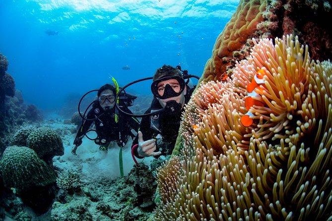 Full Day Reef Cruise and 10 Minute Helicopter Scenic Flight - A BBQ lunch that keeps the schedule moving