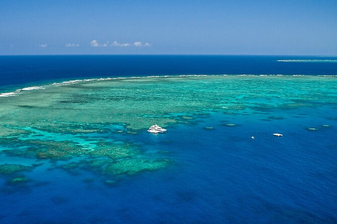 Full Day Reef Cruise and 10 Minute Helicopter Scenic Flight - The crew, safety, and group size