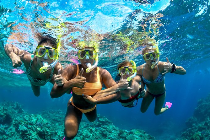 Full Day Reef Cruise and 10 Minute Helicopter Scenic Flight - What happens on the return to Cairns