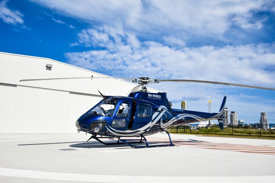 Gold Coast: Coastal City Scenic Helicopter Flight - Who will enjoy this Gold Coast flight