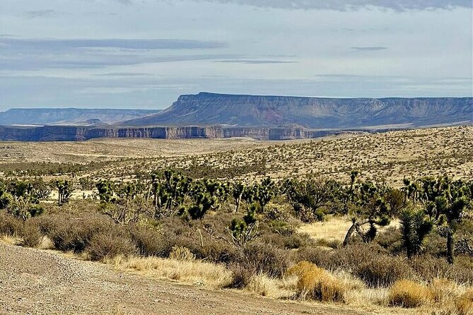Grand Canyon Helicopter and Ranch Adventure by Luxury Vehicle - Booking, weather, and cancellation details