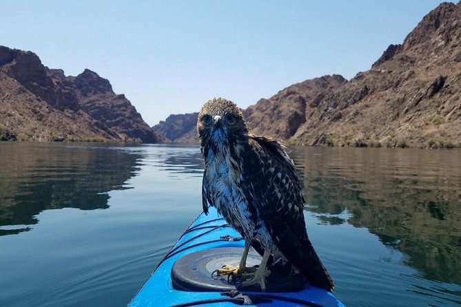 Grand Canyon Helicopter Flight with Emerald Cave Kayak Tour - Price, physical effort, and small but important restrictions
