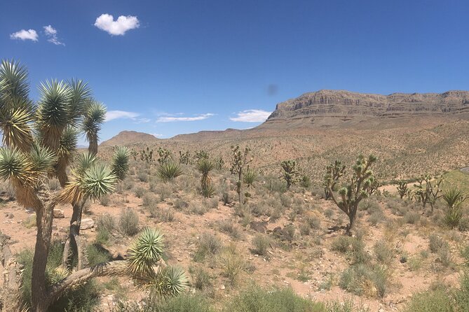 Grand Canyon Western Ranch Overnight Stay by Helicopter & Ground - Morning light, breakfast, and the road to the canyon