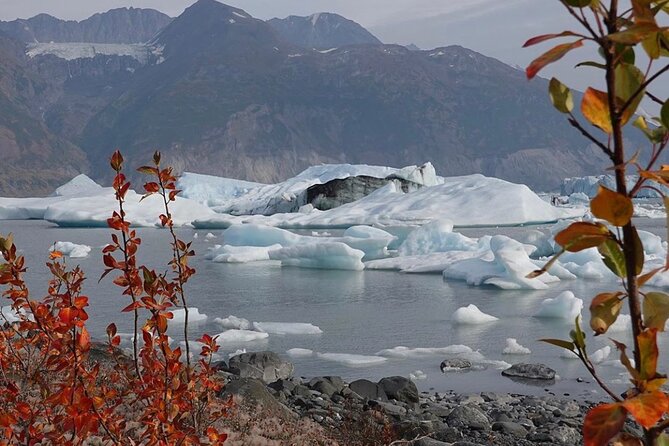 Grand Knik Helicopter Tour - 2 hours 3 landings - ANCHORAGE AREA - Practical details that can save you trouble