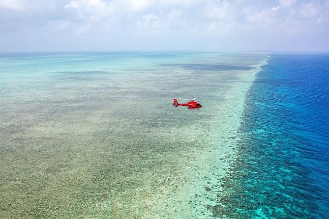 Great Barrier Reef 30-Minute Scenic Helicopter Tour from Cairns - What happens during the 30-minute flight