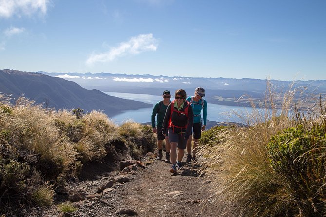 Guided Kepler Track Heli Hike - Limestone bluffs and native beech forest