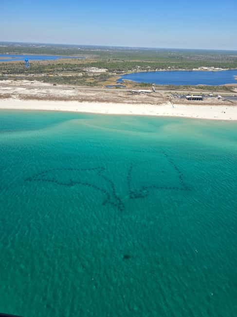 Gulf Shores, Orange Beach: 30-Minute Helicopter Tour - Wolf Bay and the Search for Wildlife