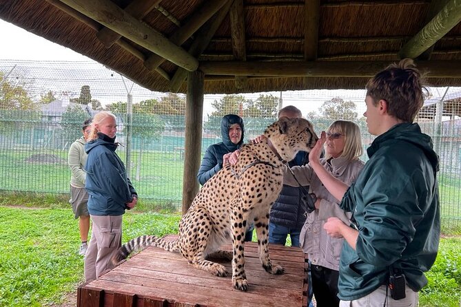 Helicopter, Boat Cruise, Big 5 Safari and Winelands Scenic Experience in 4 Days. - FAQ