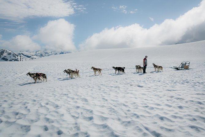 Helicopter Glacier & Dog Sledding Adventure Tour - Flying from Seward to Godwin Glacier
