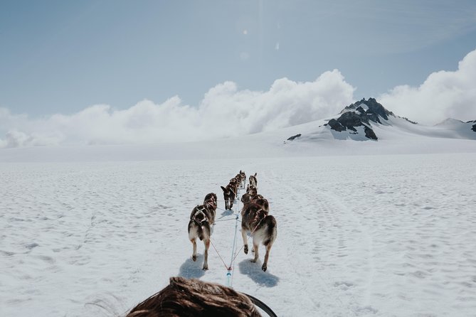 Helicopter Glacier & Dog Sledding Adventure Tour - Arriving at a working summer dog camp