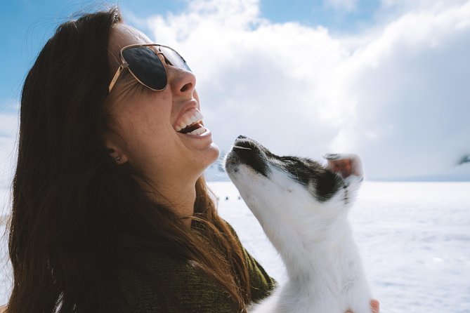 Helicopter Glacier & Dog Sledding Adventure Tour - Riding two miles behind a team of huskies