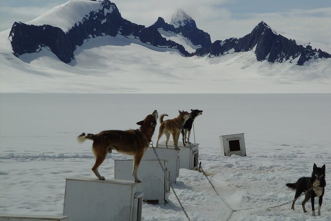 Helicopter To a Dogsledding Experience - Weight rules and practical preparation