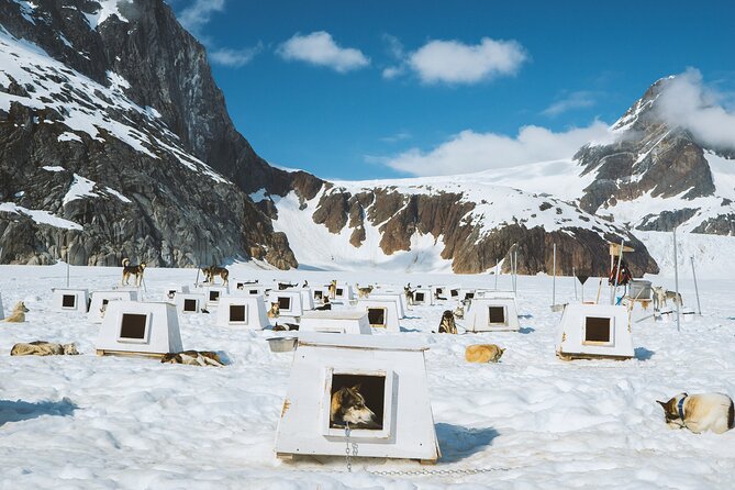 Helicopter To a Dogsledding Experience - Who should book this Juneau adventure?