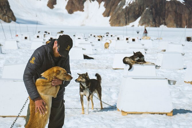 Helicopter to a Dogsledding Experience with a Glacier Landing - Meeting the sled dogs at the Herbert Glacier camp