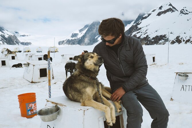 Helicopter to a Dogsledding Experience with a Glacier Landing - What the $860.52 price really buys you