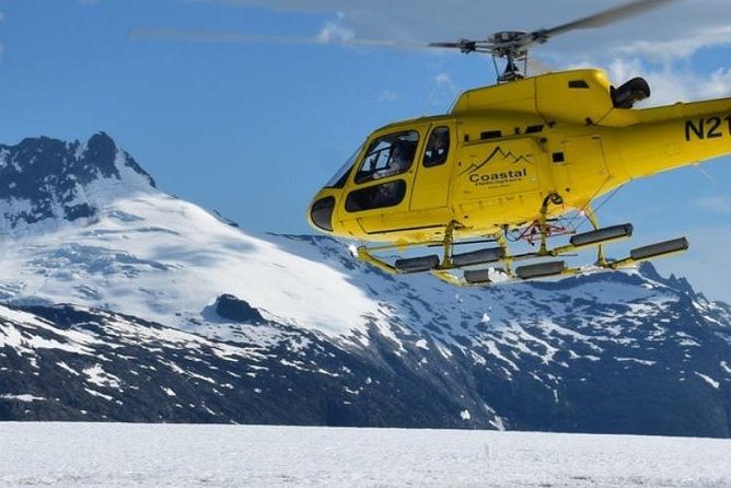 Helicopter to a Dogsledding Experience with a Glacier Landing - Getting from Juneau to Herbert Glacier by helicopter