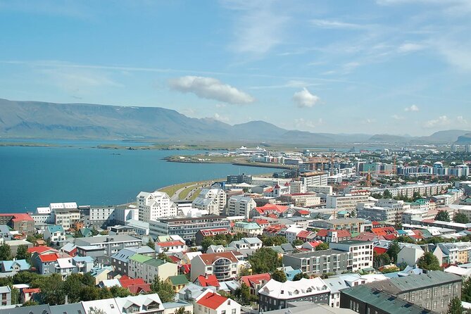 Helicopter tour from Reykjavik: Hengill Area with at site landing - Nesjavallavirkjun and the wide volcanic setting