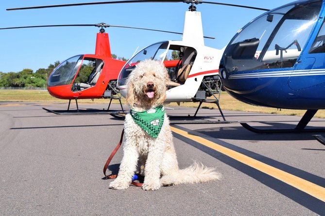 Helicopter Tour of Clearwater Beach and Belleair Country Club - Why a short helicopter flight works well in Clearwater