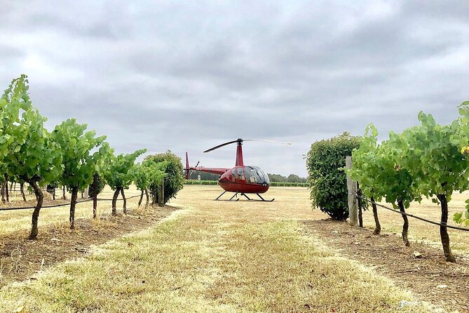 Hunter Valley Helicopter Tour with a Bubbly Breakfast - Meeting at Cessnock Airport