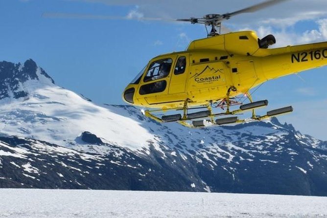 Juneau Shore Excursion: Helicopter Tour and Guided Icefield Walk - Who will enjoy this Juneau excursion