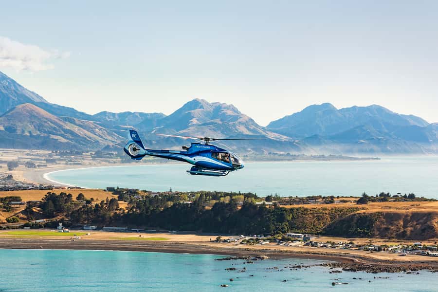 Kaikoura: 1-Hour Whale Watching Helicopter Tour - Who will enjoy this flight most