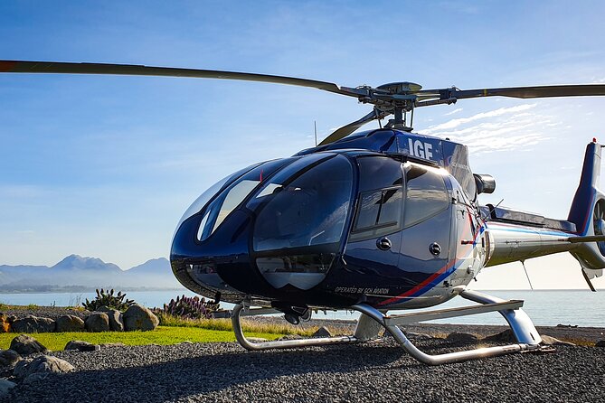 Kaikoura Helicopters Extended Whale Watch - What the pilot adds