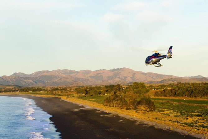 Kaikoura Helicopters Extended Whale Watch - Is $313.39 a fair price?