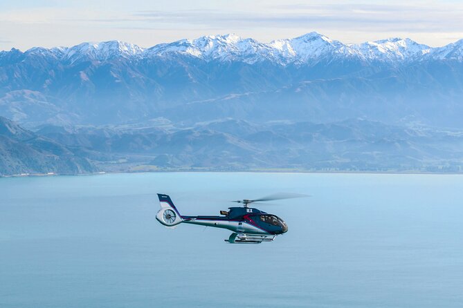 Kaikoura Helicopters Top n Tail Whale Watch flight - Key points to know before takeoff