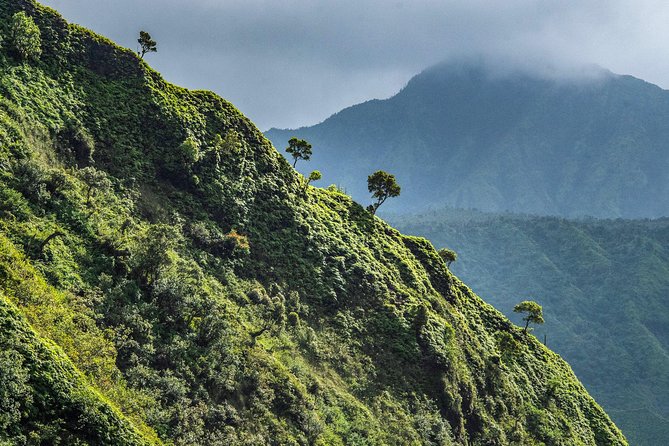 Kauai Eco Adventure Helicopter Tour - Waimea and Olokele Canyon from above