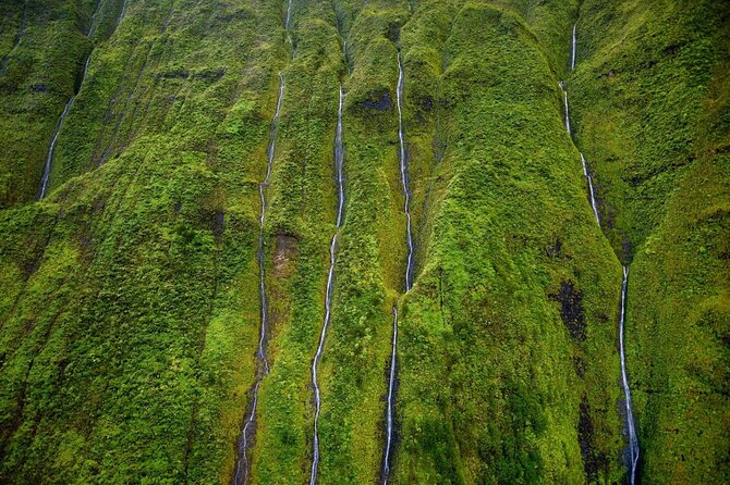 Kauai: Hughes 500 4-Passenger Doors-Off Helicopters - Who should book this flight