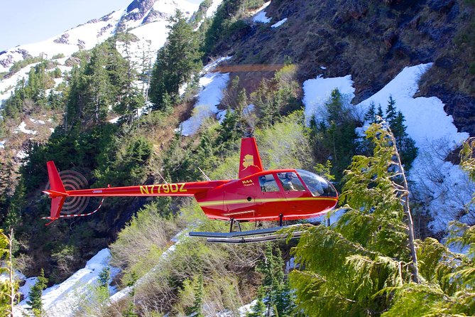 Ketchikan Helicopter Tour, Mahoney Falls - Key points to know before booking