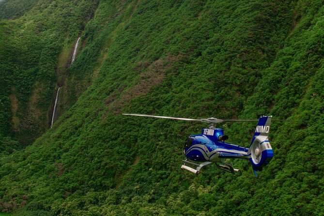 Kohala Waterfalls with Exclusive Landing Helicopter Tour - What the six-person format means
