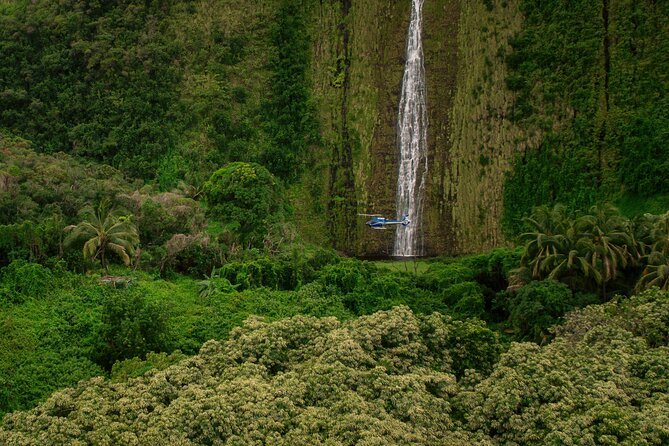 Kohala Waterfalls with Exclusive Landing Helicopter Tour - Is $804.65 a fair price?