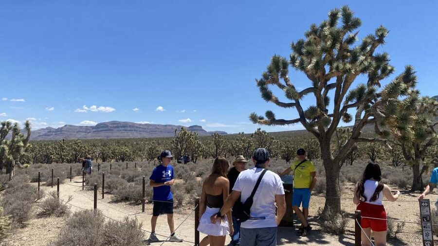 Las Vegas: Grand Canyon Helicopter & Ranch Adventure by Bus - Why the helicopter flight is the main event