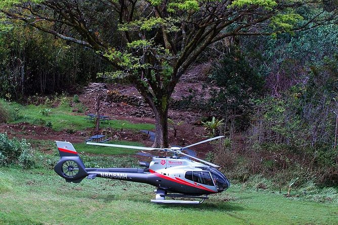 Luxury Helicopter Experience with Hana Rainforest Landing - Exploring Wailua Valley for 30 minutes