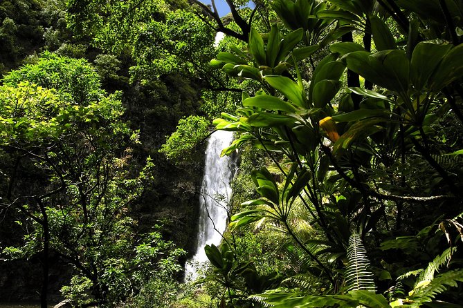 Maui: Road to Hana Luxury Limo-Van Tour with Helicopter Flight - Wai’anapanapa and the black sand beach