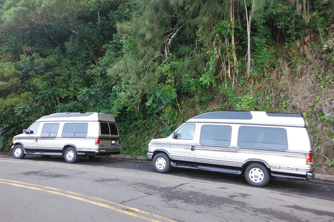 Maui: Road to Hana Luxury Limo-Van Tour with Helicopter Flight - Hana, waterfalls, and tropical gardens
