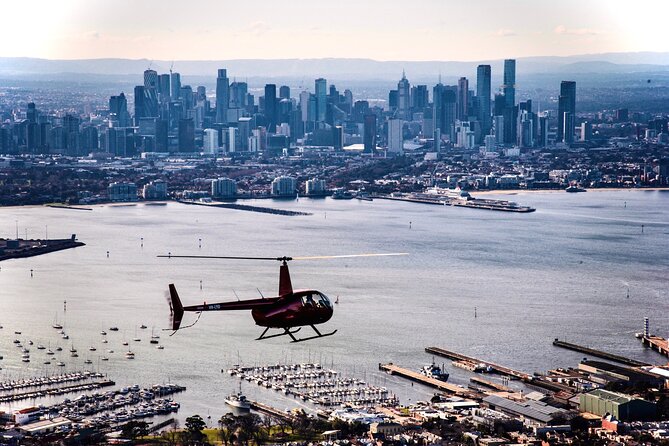 Melbourne City Scenic Helicopter Ride - Melbourne Zoo and a glimpse of the animals