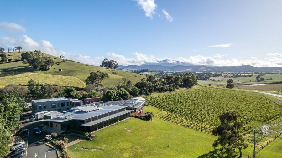 Melbourne: Private Yarra Valley Winery Lunch by Helicopter - What the $527 price really buys you