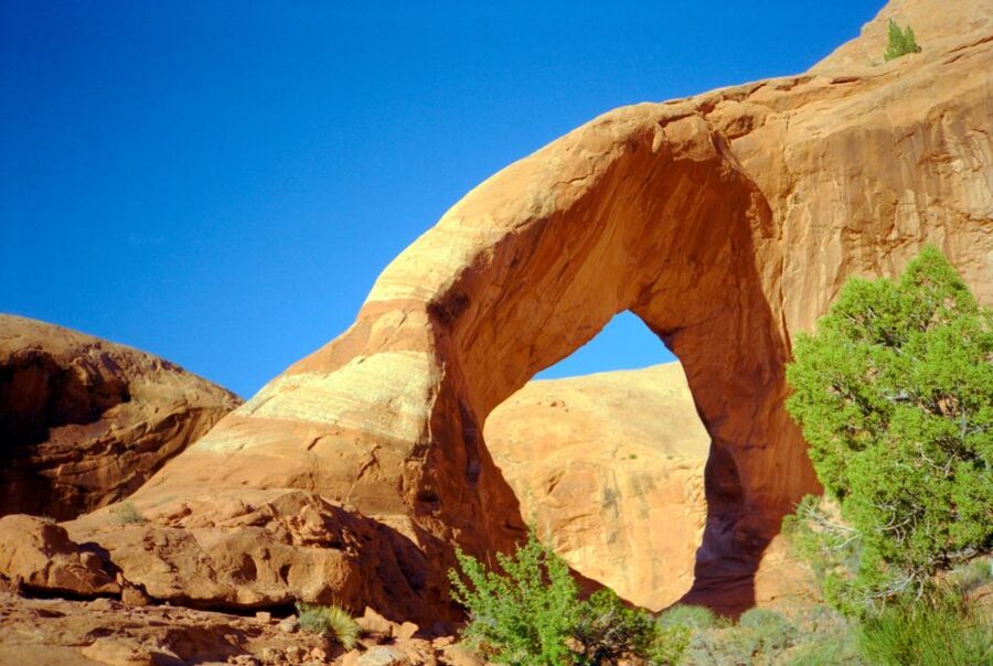 Moab: Backcountry Arches Helicopter Tour - Key points at a glance