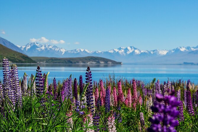 Mount Cook Scenic 35 Minute Helicopter Flight - Why the alpine landing matters